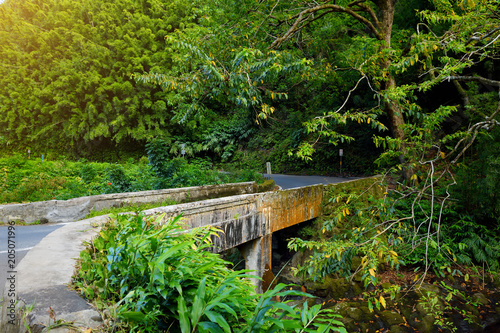 Famous Road to Hana fraught with narrow one-lane bridges, hairpin turns and incredible island views, curvy coastal road with views of cliffs, waterfalls, and miles of rainforest. Maui, Hawaii