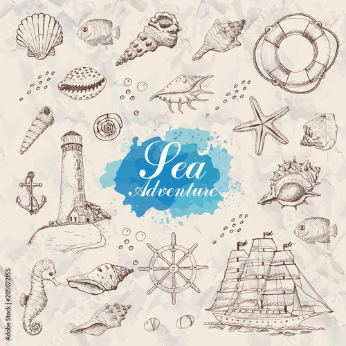 Isolated sea objects. Shells, starfish, anchor, lighthouse, fish, ship