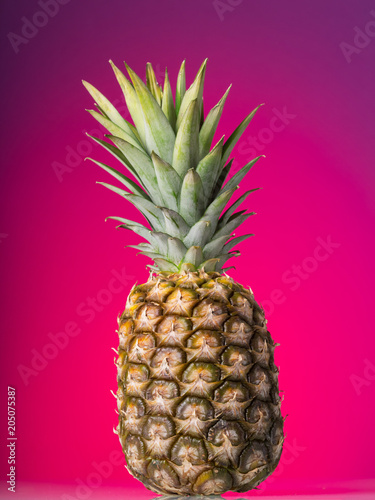 Large pineapple with peel and green leaves on pink
