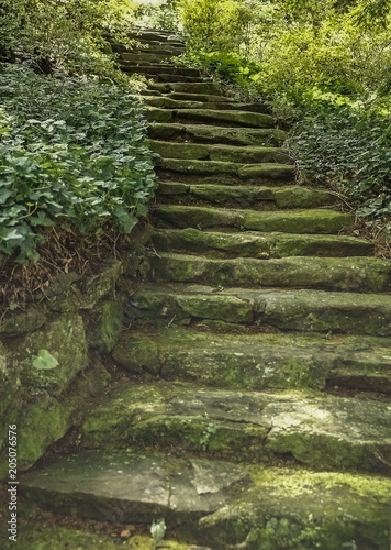 stone stairs to the park