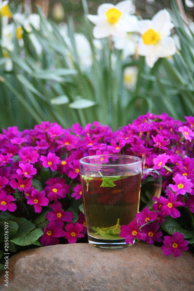 tea party on the nature tea party on the nature