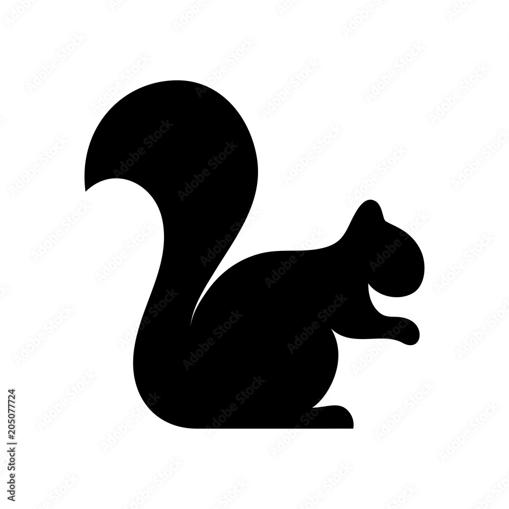 Squirrel with Big Tail Squirrel with Big Tail