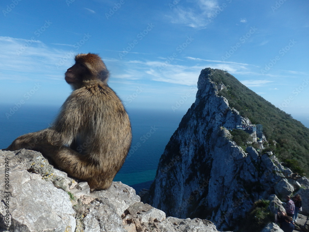 Naklejka premium Looking to Africa