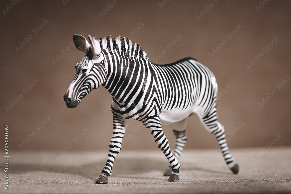 Fototapeta premium luxury baby rubber Zebra toy for animal collection.