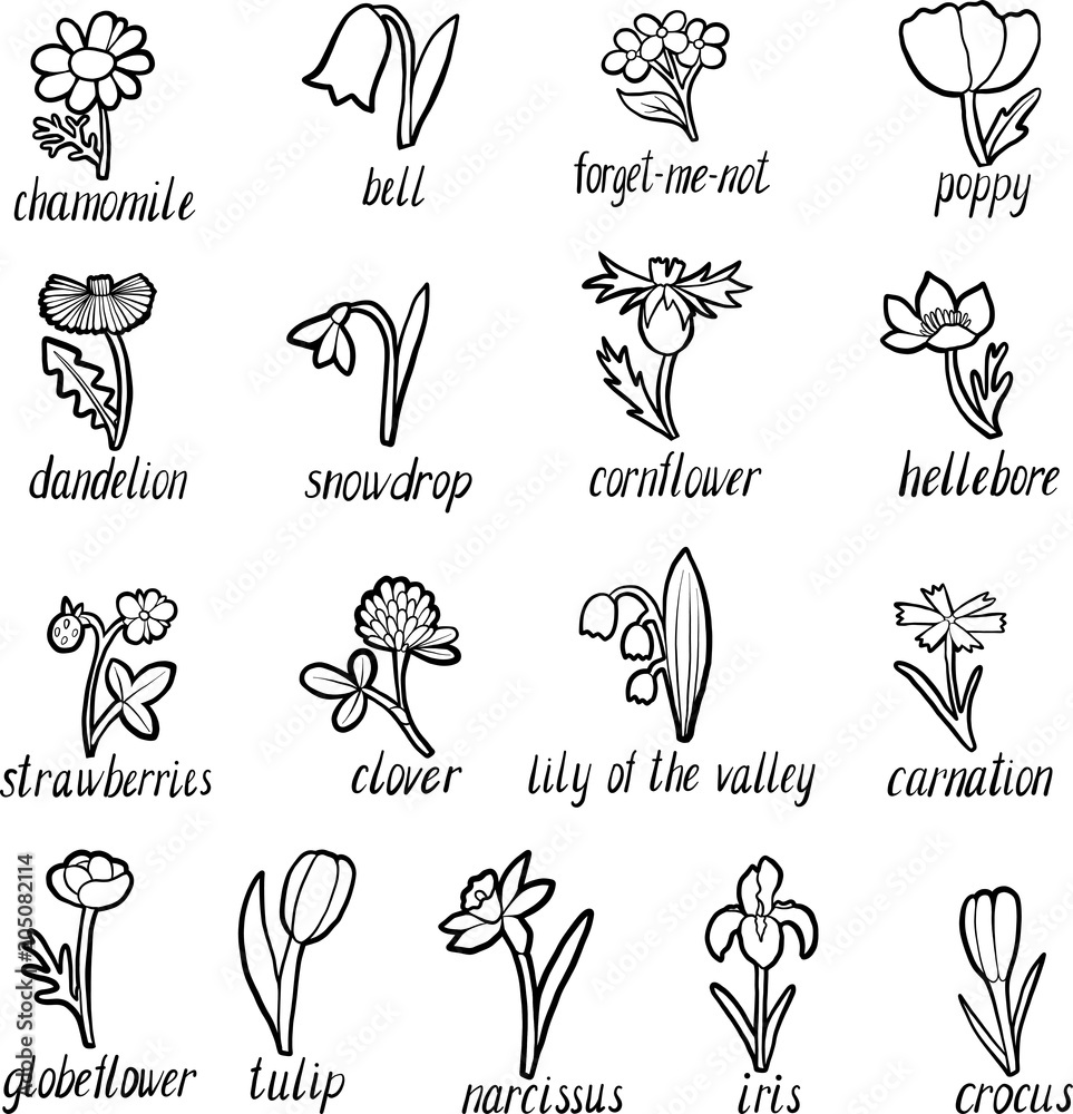 Fototapeta premium vector set of flowers