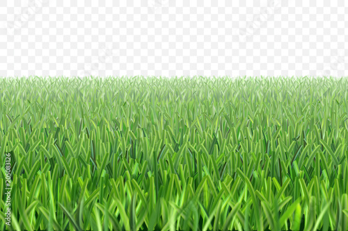 Vector grass football field background