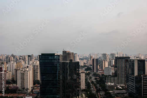 Metropolis panoramic view