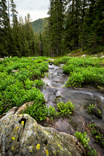 Byers Peak Wilderness Area photo
