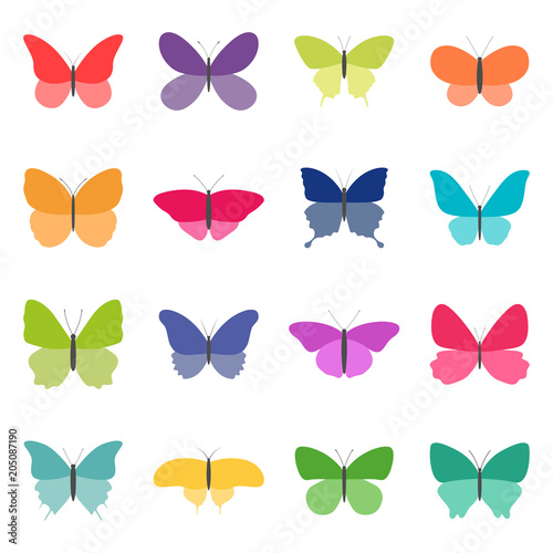 Set of color butterflies on white background, vector illustration
