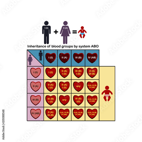 Infographics on the inheritance of blood groups