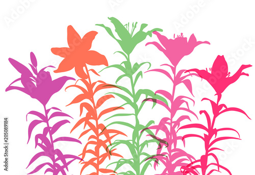 brightly colored lilies