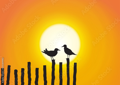 Silhouette of two seagull sitting on timber on golden sunset background