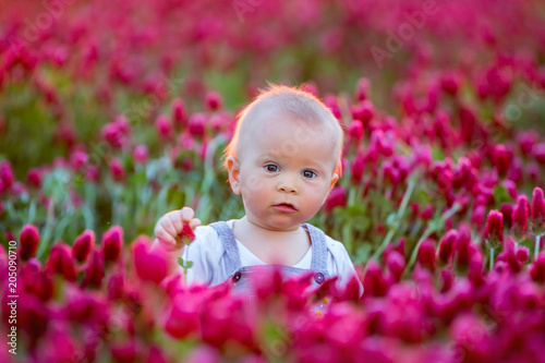 Beautiful children in gorgeous crimson clover field on sunset