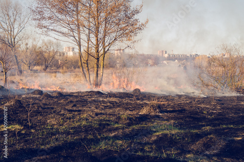 The fire of dry grass in the field © andrei310