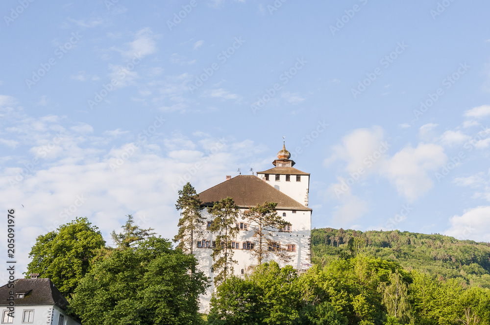 Werdenberg, Buchs, Schloss, See, Rheintal, Ostschweiz, Alpen, Weinberg, Spazierweg, historische Häuser, Sommer, Schweiz