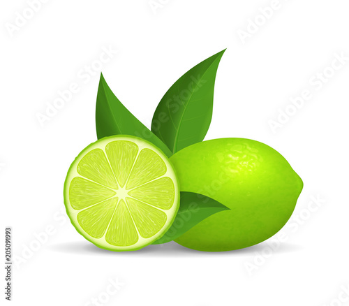 Realistic Detailed 3d Whole Green Fruit Lime and Slice. Vector