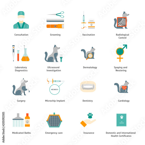 Cartoon Veterinary and Grooming Signs Color Icons Set. Vector