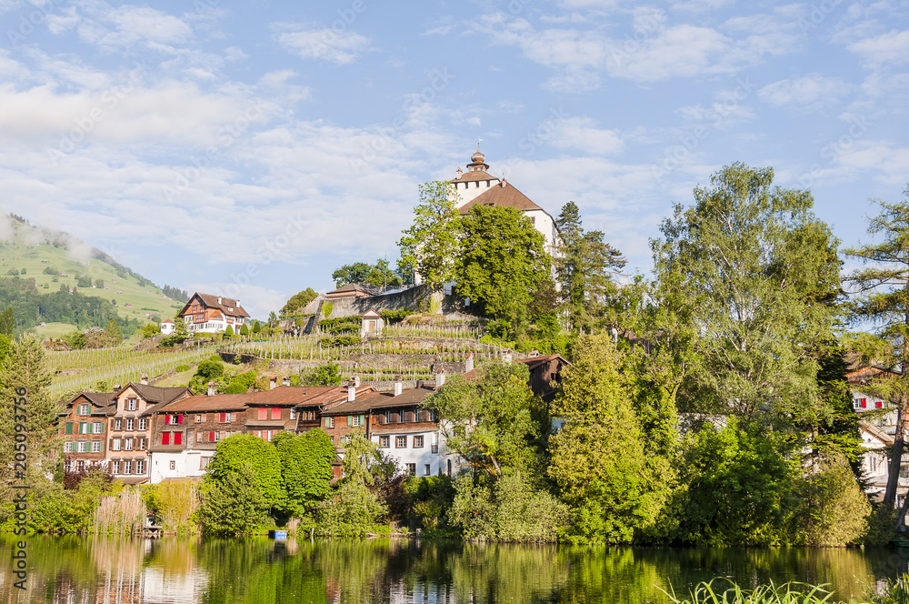 Fototapeta premium Werdenberg, Buchs, Stadt, See, Schloss, historische Häuser, Seeufer, WeinbergAltstadt, Altstadthäuser, Rheintal, Frühling, Sommer, Schweiz