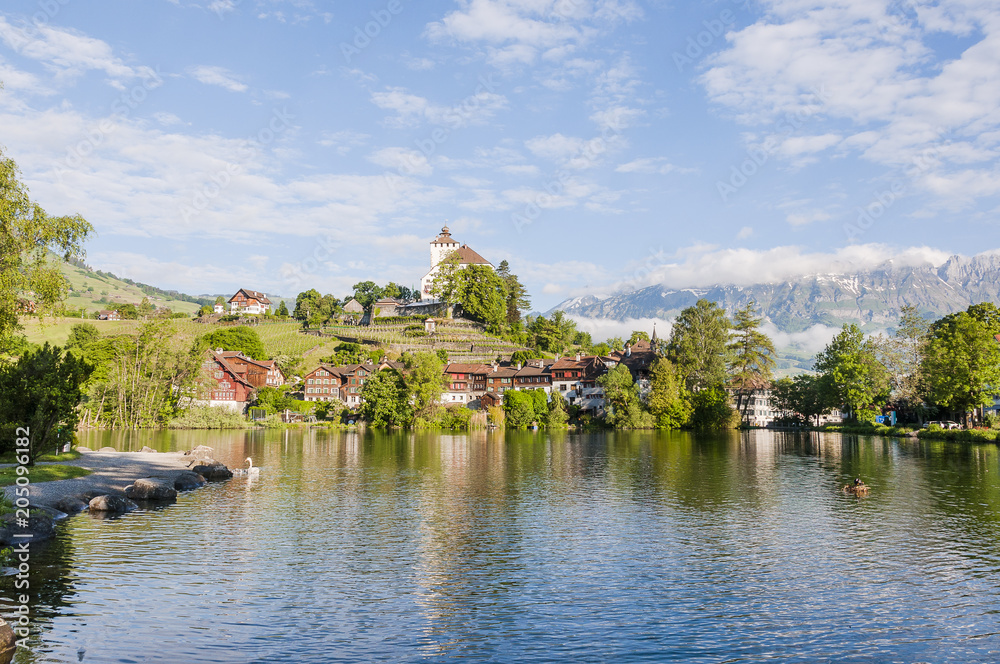 Obraz premium Werdenberg, Buchs, See, Schloss, Seeufer, Uferweg, Weinberg, Wasservögel, Spazierweg, Rheintal, Alpen, Sommer, Ostschweiz, Schweiz