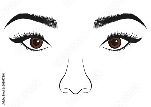 Beautiful women portrait. Long lashes, eyes and nose. Vector illustration.