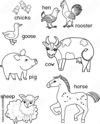 Coloring page. Set of different cute cartoon farm animals with titles on white background