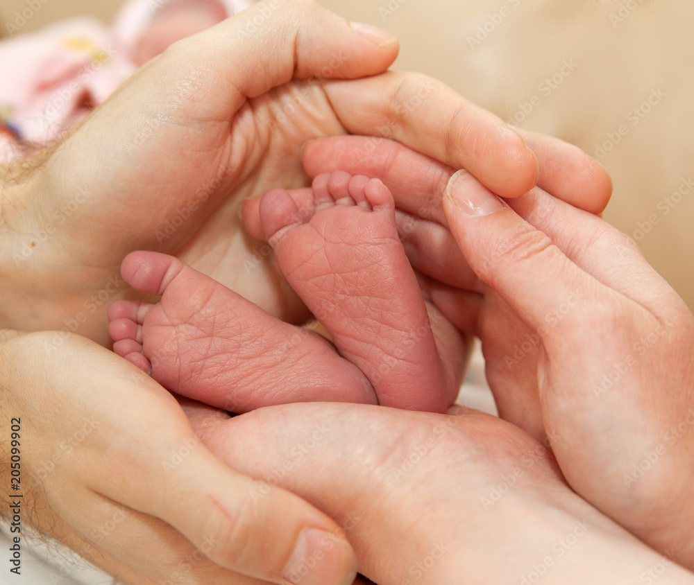 Infant heels in mother's and fathers hands Infant heels in mother's and fathers hands