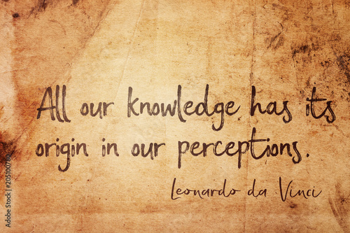 our perceptions Leonardo