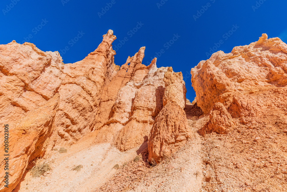 Fototapeta premium Scenic Bryce Canyon Utah Winter Landscape