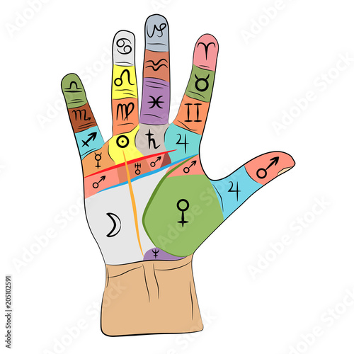 chiromancy hand infographic. palmistry vector drawing illustration