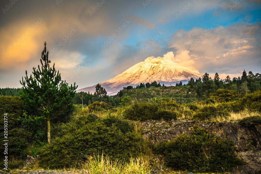 Fototapeta premium Cotopaxi volcano with sunset light shinning on it's slopes, and crops in the foreground, Ecuador.