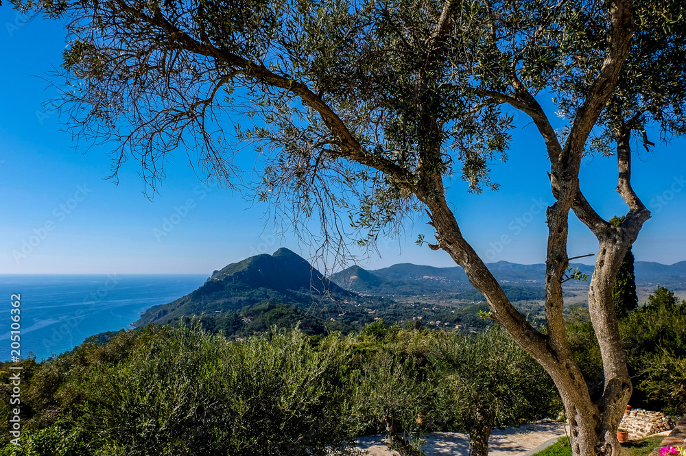 Blick in die Ferne auf Korfu