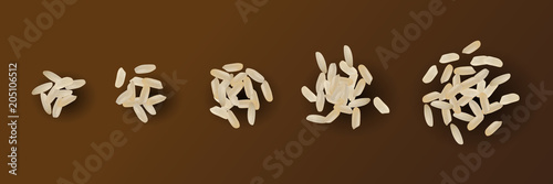 Realistic Vector Rice Isolated