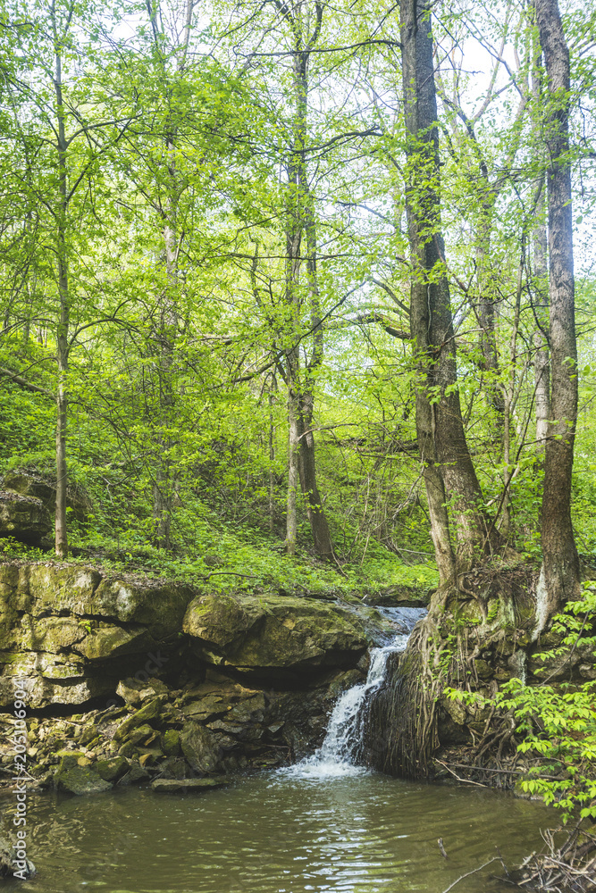 Naklejka premium Small waterfall on a creek. Moscow region, Russia