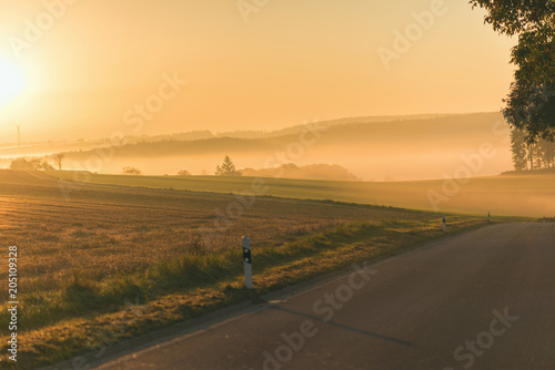 field on the sunrise morning in the fog in the autumn time © flowertiare