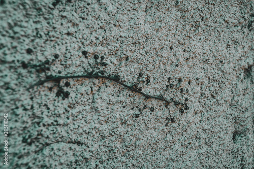  texture of a concrete wall