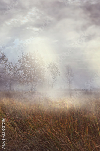 foggy morning over wild meadows © ambrozinio