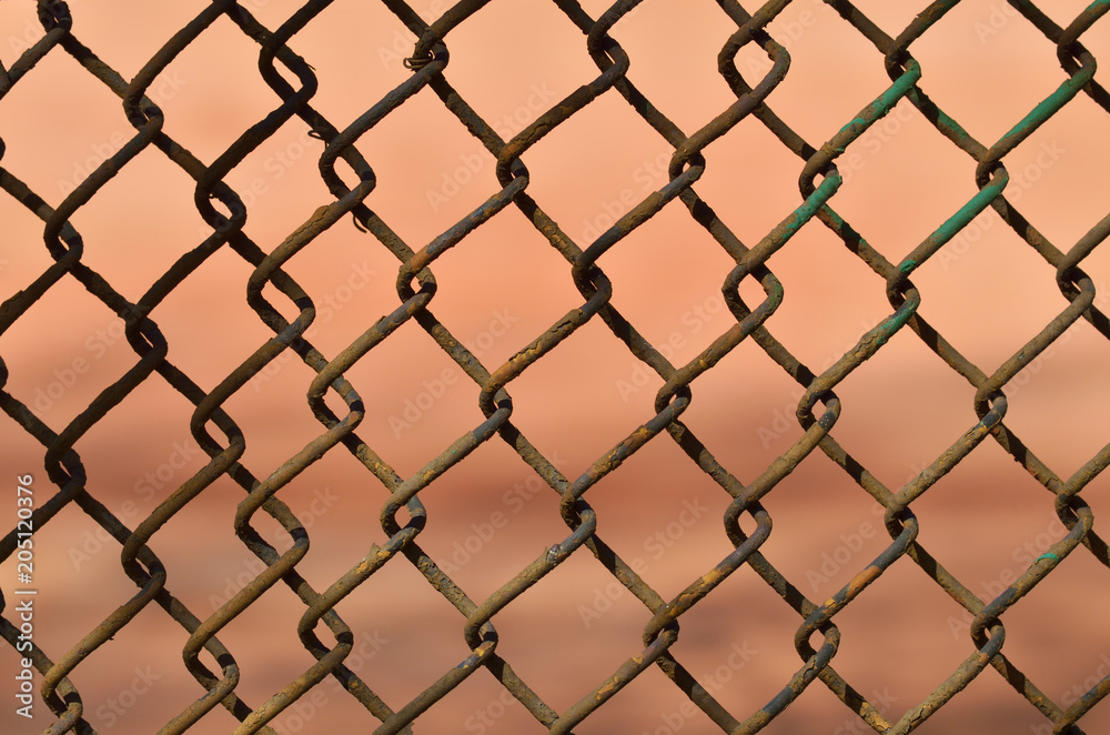 A fence made of iron net. A fence made of iron net.
