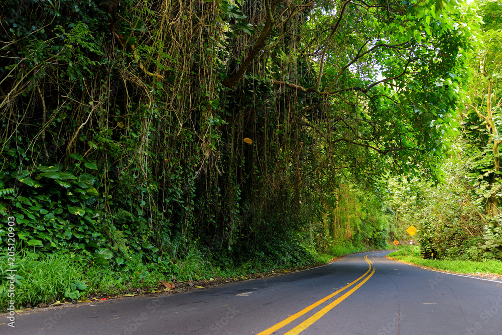 Obraz premium Famous Road to Hana fraught with narrow one-lane bridges, hairpin turns and incredible island views, curvy coastal road with views of cliffs, waterfalls, and miles of rainforest. Maui, Hawaii