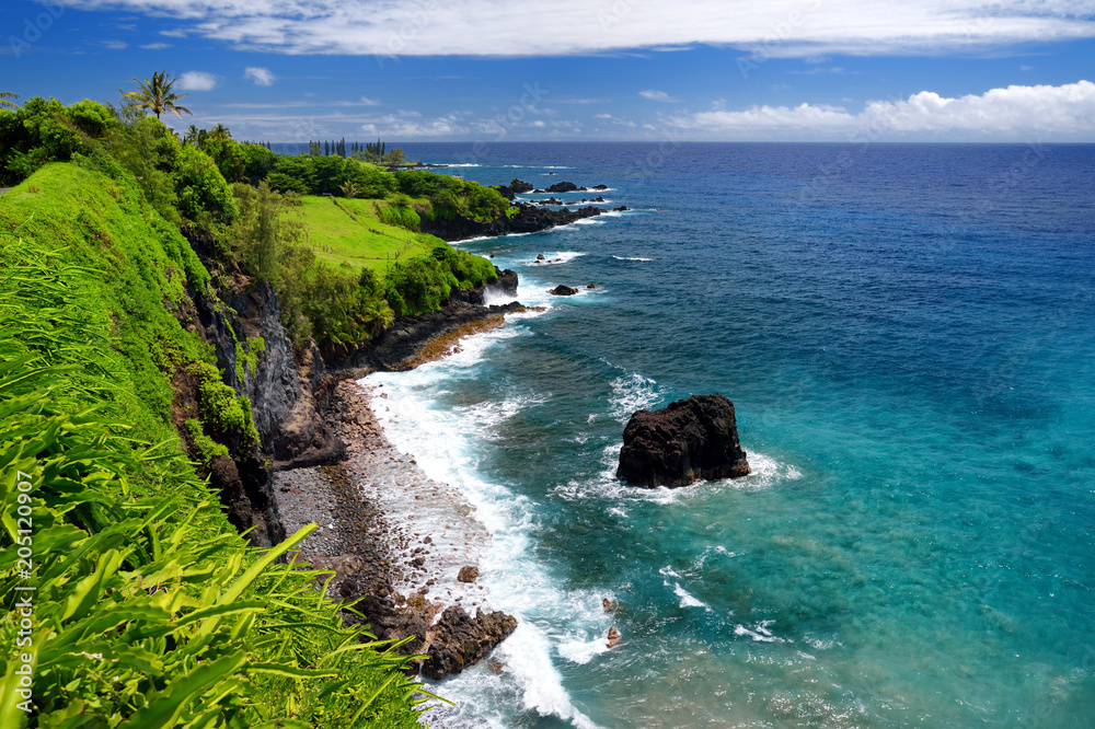 Obraz premium Rough and rocky shore at south coast of Maui, Hawaii