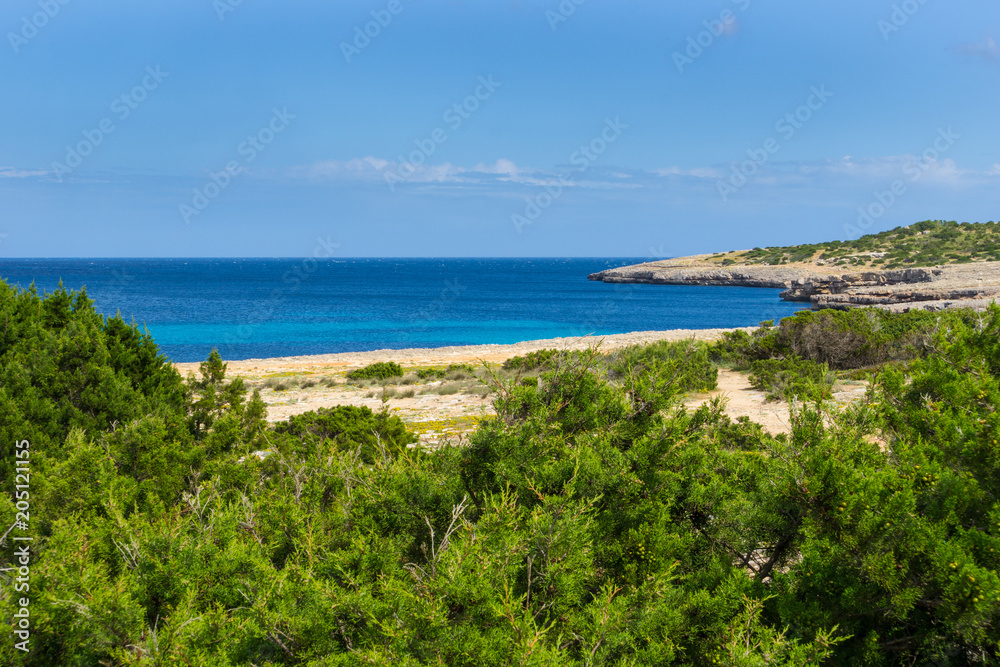 Mallorca, Rocky cliffs of  island coast behind green trees in springtime