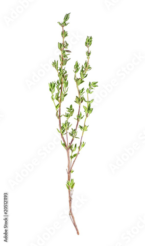 Fresh thyme on white background, top view.
