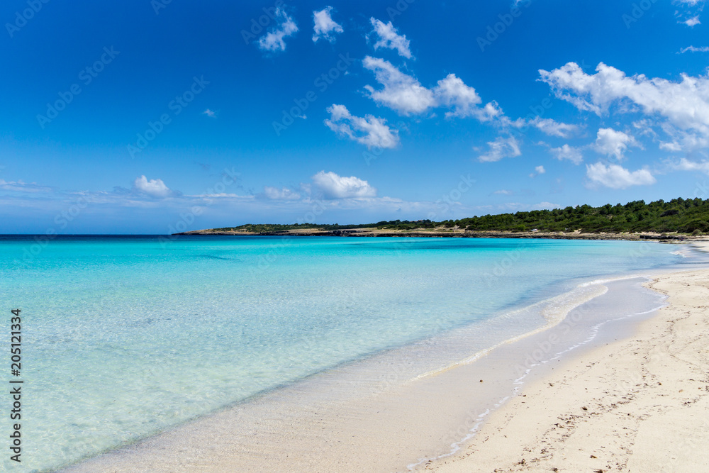 Mallorca, Amazing beautiful white sand beach with green trees behind at Cala Millor
