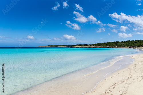 Obraz na płótnie Mallorca, Amazing beautiful white sand beach with green trees behind at Cala Millor w salonie