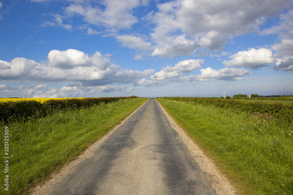 Yorkshire wolds road in Springtime