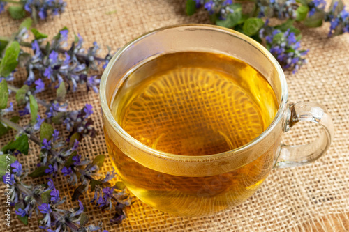 A cup of blue bugle tea with fresh blooming plant photo