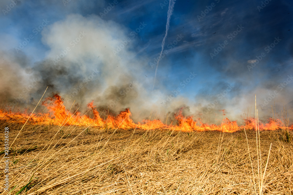 Global Warming. Burning agricultural field, smoke pollution.