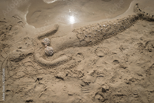 Mermaid shape of sand, sand art seamaid photo
