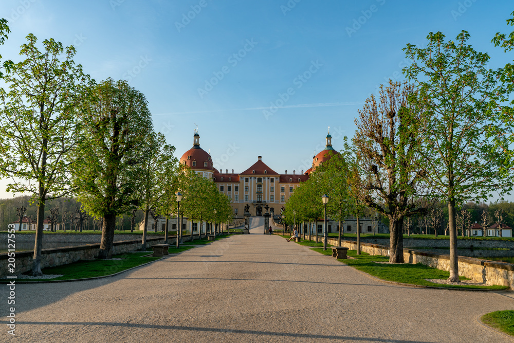 Fototapeta premium Castle Moritzburg in Saxony near Dresden. Pond reflection. Springtime. Germany.