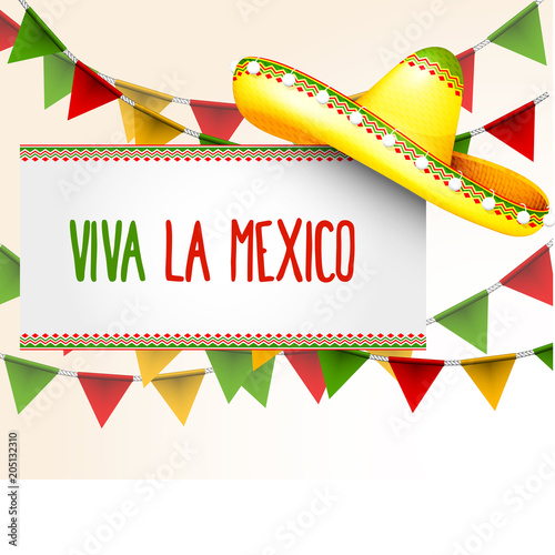 Banner viva la Mexico - sombrero and party triangle bunting flags