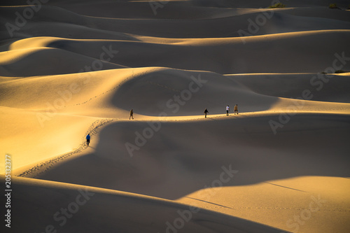 Fototapeta Naklejka Na Ścianę i Meble -  Mesquite Flat Sand Dunes